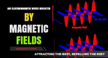 Exploring the Interaction: Electromagnetic Waves and Magnetic Fields