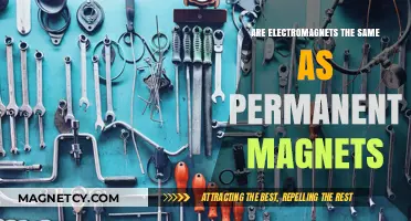 Exploring Magnetism: Electromagnets vs. Permanent Magnets