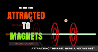 Do Electrons Respond to Magnetic Fields? Unraveling the Science Behind Attraction