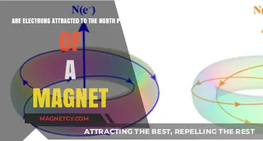 Do Electrons Align with a Magnet's North Pole? Exploring the Science