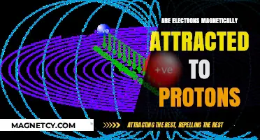 Do Electrons Magnetically Attract Protons? Unraveling Atomic Forces and Myths