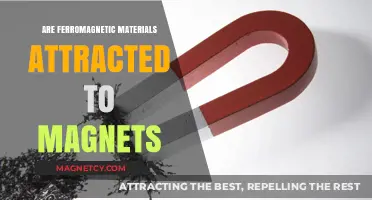 Do Ferromagnetic Materials Attract Magnets? Unveiling Magnetic Interactions