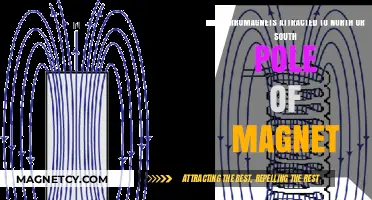 Ferromagnets and Magnetic Poles: North or South Attraction Explained