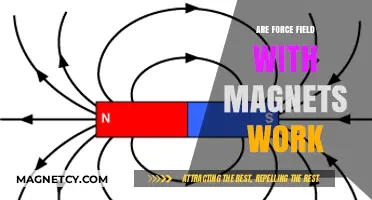 Exploring the Science Behind Magnetic Force Fields: Do They Really Work?