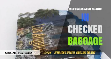Traveling with Fridge Magnets: Checked Baggage Rules and Tips