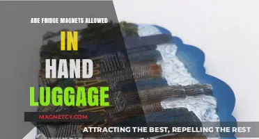 Traveling with Fridge Magnets: Hand Luggage Guidelines