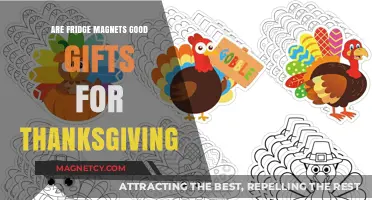 Thoughtful Thanksgiving Presents: The Charm of Fridge Magnets