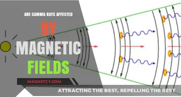 Unveiling the Mysteries: Gamma Rays and Magnetic Fields