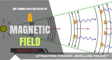 Unveiling the Mystery: Do Gamma Rays Succumb to Magnetic Fields?