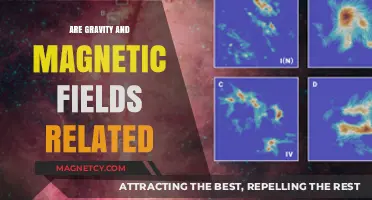 Exploring the Intriguing Connection Between Gravity and Magnetic Fields