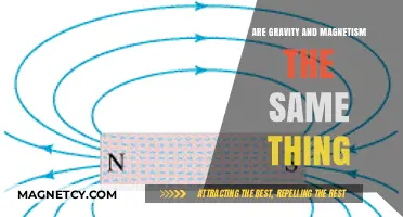 Unraveling the Mysteries: Gravity and Magnetism Explained