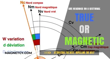 Exploring the Nature of Headings: True or Magnetic?