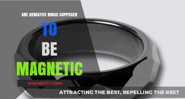 Exploring the Magnetic Properties of Hematite Rings