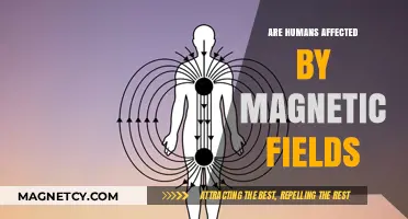 Exploring the Invisible Influence: Magnetic Fields and Human Health