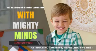 Exploring the Synergy Between Imagination Magnets and Mighty Minds