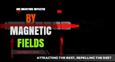 Exploring the Influence of Magnetic Fields on Inductors