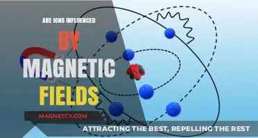 Exploring the Impact of Magnetic Fields on Ions: A Comprehensive Guide