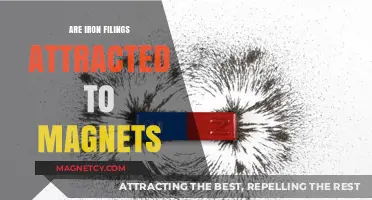 Do Iron Filings Stick to Magnets? Unveiling Magnetic Attraction Secrets