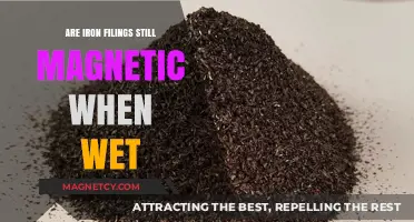 Exploring Magnetism: Iron Filings and Water's Impact