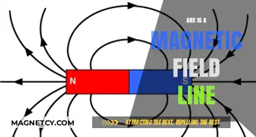 Exploring the Invisible Force: Understanding Magnetic Field Lines