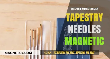 Exploring the Magnetic Properties of John James English Tapestry Needles