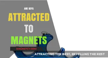 Do Keys Stick to Magnets? Unveiling the Magnetic Mystery