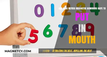 Are Kids' Refrigerator Magnetic Numbers Safe to Put in Mouth?