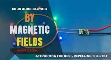 Exploring the Impact of Magnetic Fields on Low Voltage LEDs