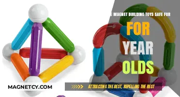 Exploring the Safety of Magnet Building Toys for Young Children