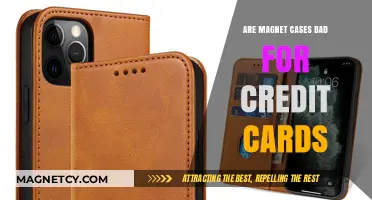 The Truth About Magnet Cases and Credit Card Safety