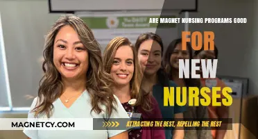 Exploring Magnet Nursing Programs: A Pathway for New Nurses?