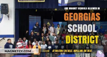 Exploring Magnet Schools in Georgia: Are They Permitted?