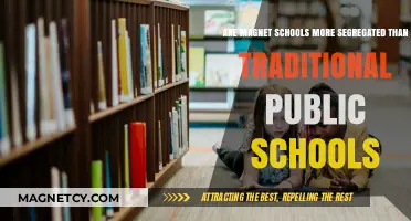 Exploring Segregation: Magnet Schools vs. Traditional Public Schools