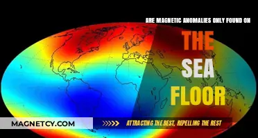 Unveiling the Mystery: Magnetic Anomalies Beyond the Ocean Floor
