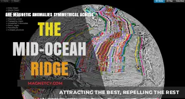 Exploring Magnetic Symmetry Along the Mid-Ocean Ridge