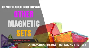 Exploring Magnetic Building Blocks: Compatibility with Other Sets