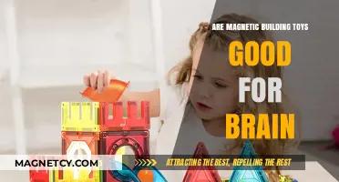 Boosting Brain Power: The Benefits of Magnetic Building Toys