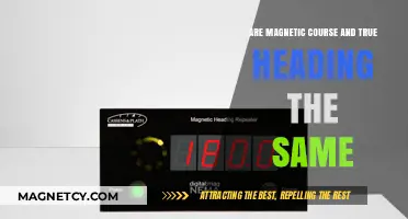 Exploring Navigation: Magnetic Course vs. True Heading