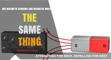 Exploring the Differences: Magnetic Domains vs. Magnetic Molecules