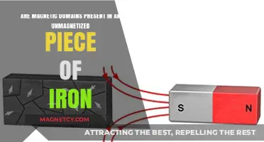 Exploring the Invisible: Magnetic Domains in Unmagnetized Iron