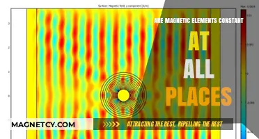 Exploring the Ubiquity of Magnetic Elements: A Spatial Analysis