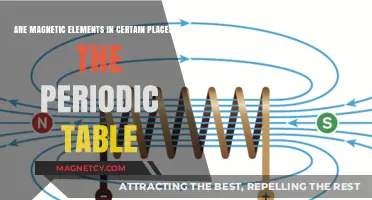 Exploring Magnetism: Elements on the Periodic Table