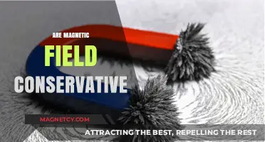 Exploring the Conservatism of Magnetic Fields: A Scientific Dive