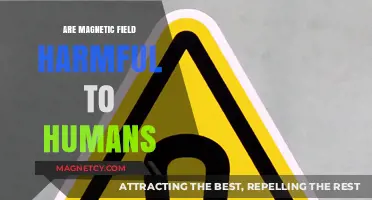 Exploring the Safety of Magnetic Fields: Are They Harmful to Humans?