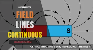 Exploring the Continuity of Magnetic Field Lines: A Deep Dive