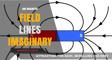 Unveiling the Mystery: Are Magnetic Field Lines Imaginary?
