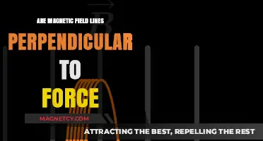 Understanding Magnetic Fields: Are the Lines Perpendicular to Force?
