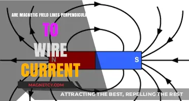 Understanding Magnetic Fields: Are They Perpendicular to Wire Current?