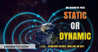 Exploring the Nature of Magnetic Fields: Static or Dynamic?