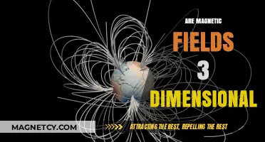 Exploring the Depths: Are Magnetic Fields Truly 3D?